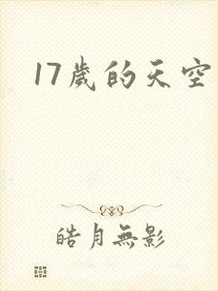 17岁的天空