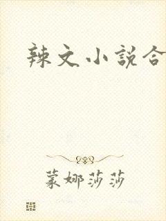 辣文小说合集封面