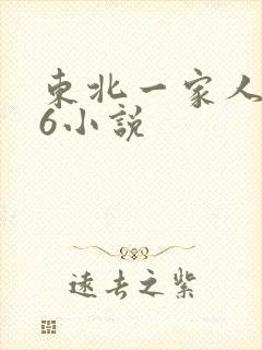 东北一家人1一6小说