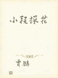 小段探花封面