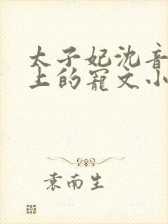 太子妃沈音和皇上的宠文小说封面