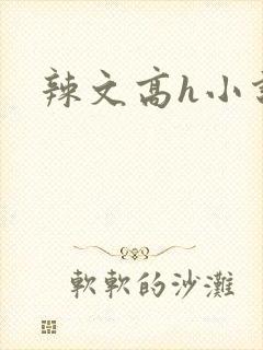 辣文高h小说