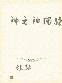 神之神独胆王封面