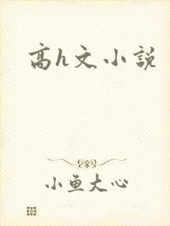 高h文小说封面