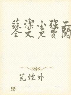 苏洁小强工地情全文免费阅读