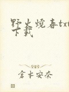 野火烧春txt下载
