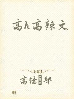 高h高辣文