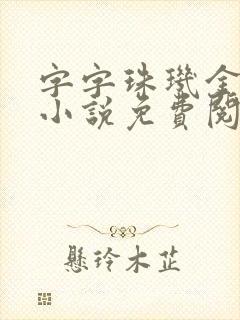 字字珠玑金银花小说免费阅读