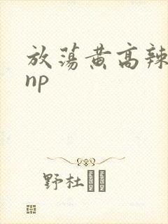 放荡黄高辣h文np