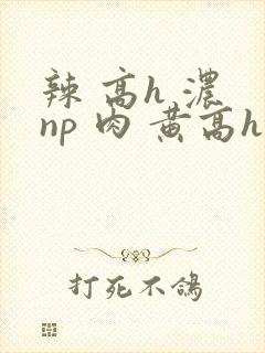 辣 高h 浓 np 肉 黄高h