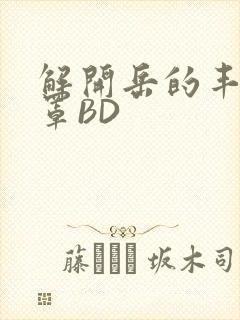 解开岳的丰满奶罩BD