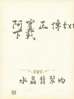 阿宾正传txt下载