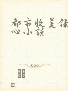 都市收美录宁素心小说