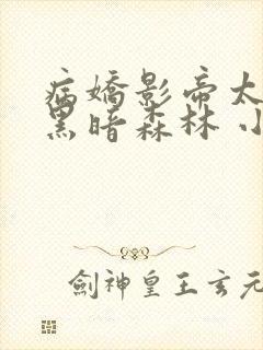 病娇影帝太撩人黑暗森林 小说全文免费阅读封面
