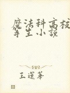 魔法科高校的劣等生小说
