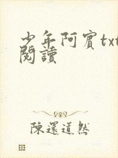 少年阿宾txt阅读