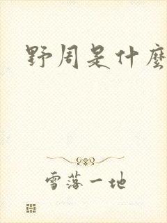 野周是什么意思封面