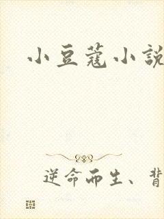 小豆蔻小说封面