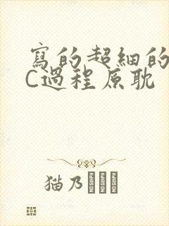 写的超细的多肉C过程原耽