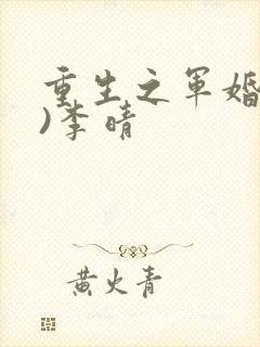 重生之军婚(h)李晴
