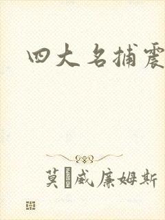 四大名捕震关东