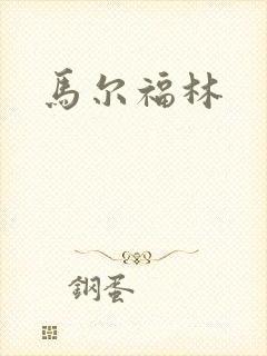 马尔福林封面