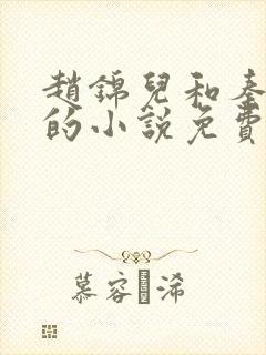 赵锦儿和秦慕修的小说免费阅读全文封面