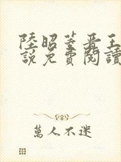 陆昭菱晋王的小说免费阅读