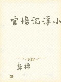 官场沉浮小说封面
