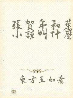 张贺年和叶繁姿小说叫什么名字封面
