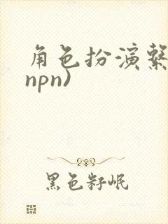 角色扮演系统(npn)封面
