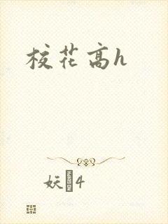 校花高h封面
