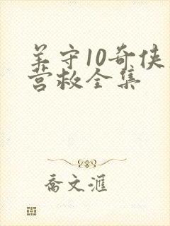 羊守10奇侠大营救全集封面
