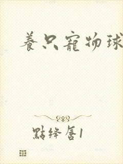 养只宠物球封面