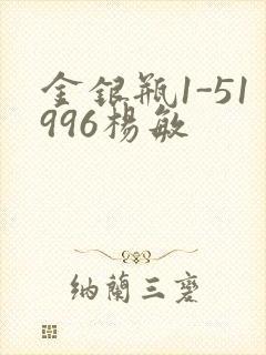 金银瓶1-51996杨敏封面