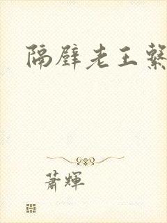 隔壁老王系统封面