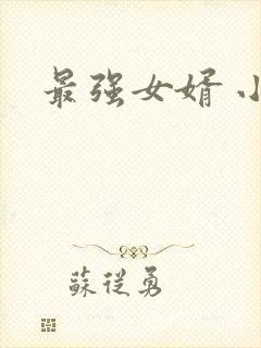 最强女婿 小说封面