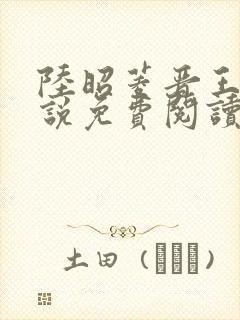 陆昭菱晋王的小说免费阅读