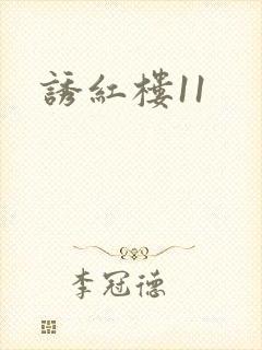 诱红楼11封面