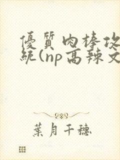 优质肉棒攻略系统(np高辣文)