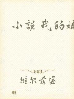 小说 我的娇妻