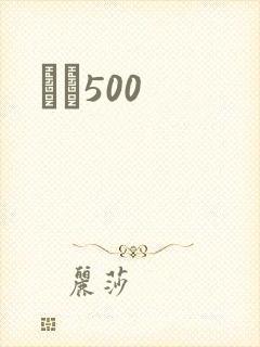 С˵500封面