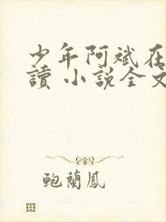 少年阿斌在线阅读 小说全文免费