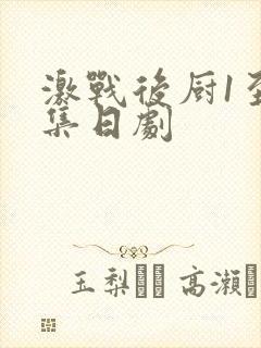 激战后厨1至5集日剧