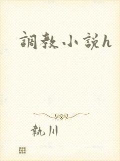 调教小说h封面