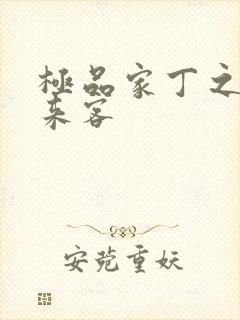 极品家丁之远方来客