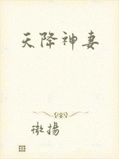 天降神妻封面