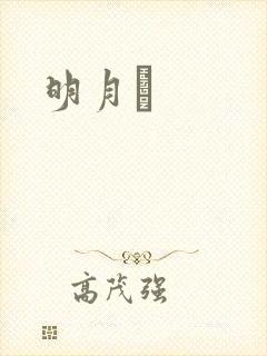 明月珰封面