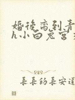 婚后脔到青梅哭h小白兔宫交h