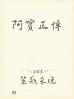 阿宾正传